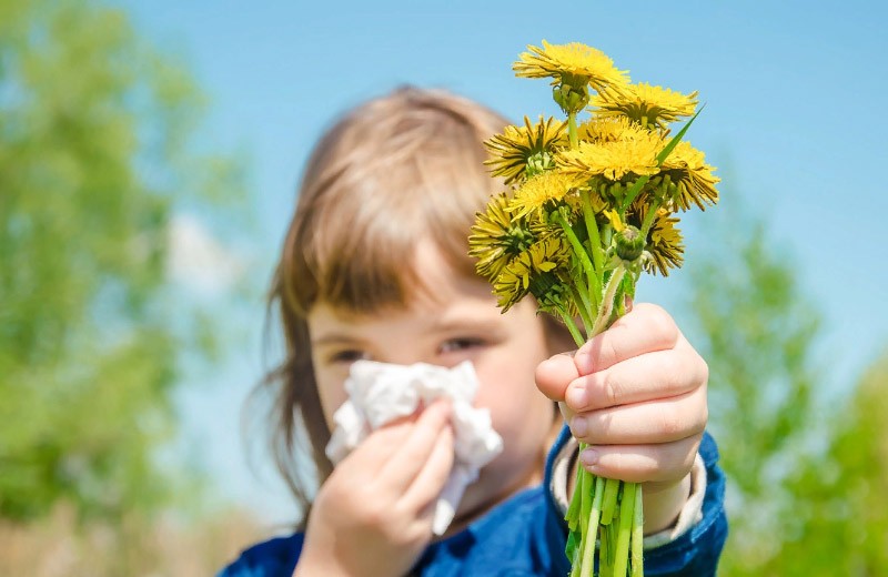 Як полегшити свій стан за алергії, коли немає доступу до медичної допомоги